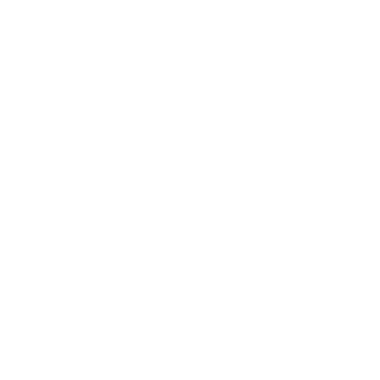 Nina Capital